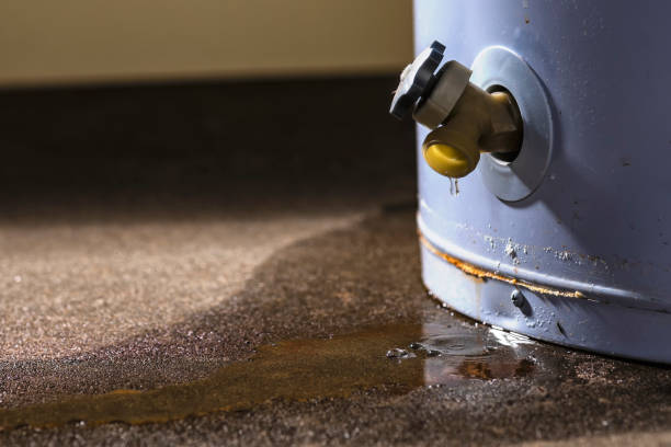 Best Mold removal after water damage  in Nd Point, WI
