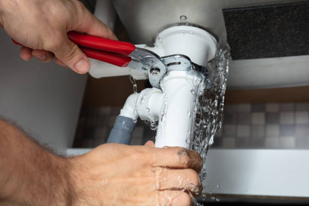 Best Carpet water damage restoration  in Nd Point, WI