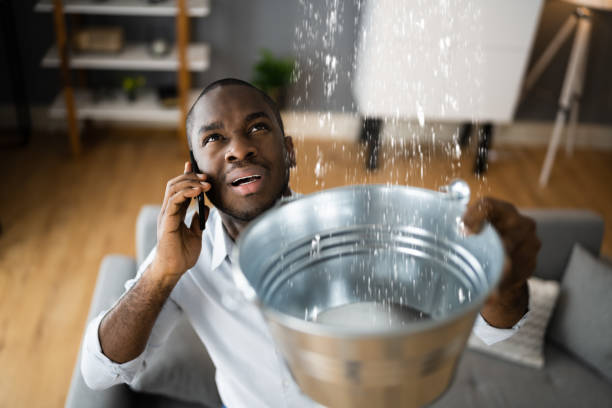 Best Ceiling water damage repair  in Nd Point, WI