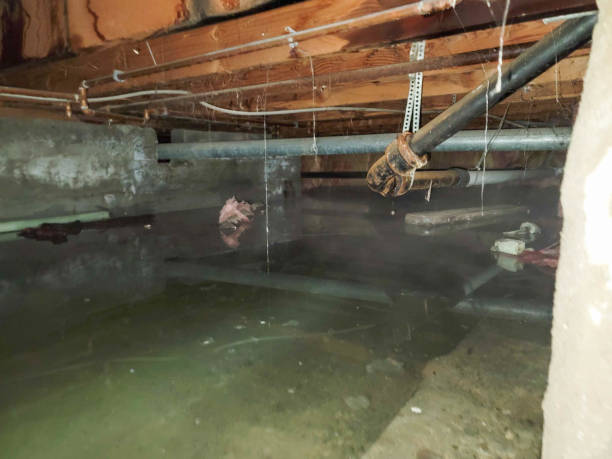 Best Flood restoration services  in Nd Point, WI