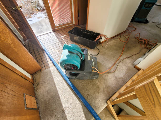 Best Basement water damage restoration  in Nd Point, WI