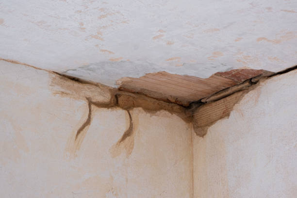 Best 24/7 water damage repair  in Nd Point, WI
