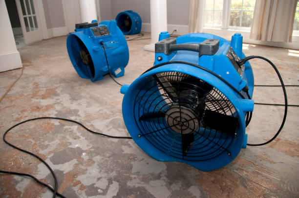 Best Water damage restoration process  in Nd Point, WI