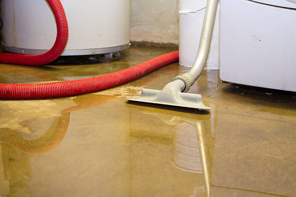 Best Water damage contractors near me  in Nd Point, WI