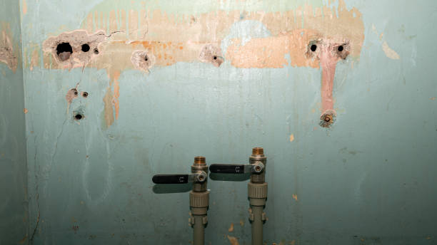 Best Flooded house restoration  in Nd Point, WI