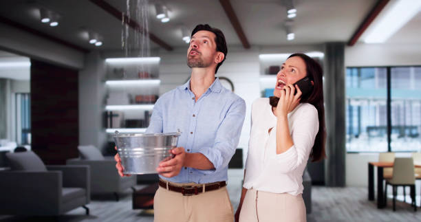 Best Residential water damage restoration  in Nd Point, WI